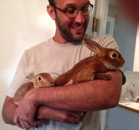 Rabbit image